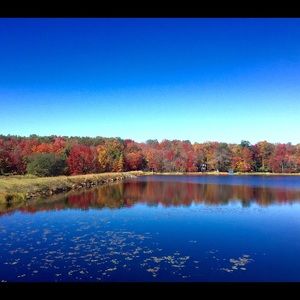 Meet your Posher, Dion