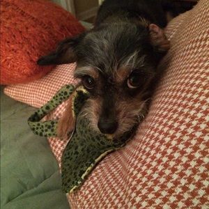 Meet your Posher, Suzanne