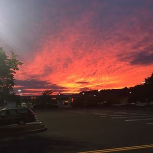 Meet your Posher, Brandi