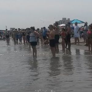 Meet your Posher, Kay