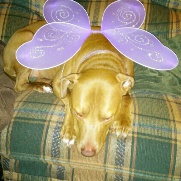 Meet your Posher, Jennifer - Picture 1 of 1