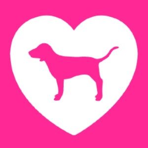 VS PINK Dogs 🐶