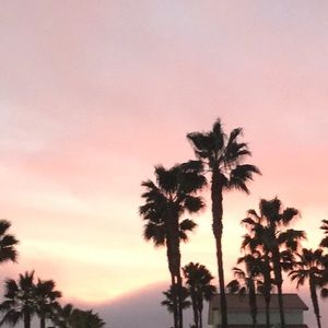 Meet your Posher, Bridget