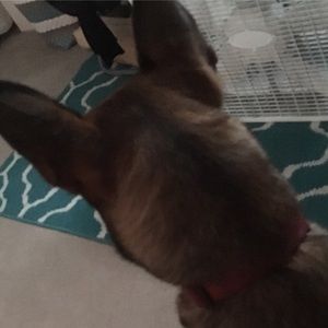 Meet your Posher, Anna