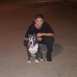 Meet your Posher, Leonardo