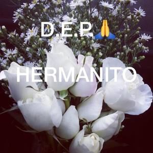 Meet your Posher, Yadiira