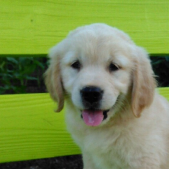 Meet your Posher, Natalia