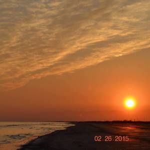 Meet your Posher, Suzie