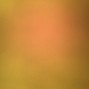 Meet your Posher, Troy