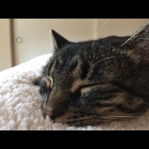 Meet your Posher, Sara