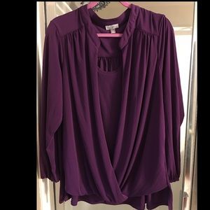 Purple long sleeve blouse 2X