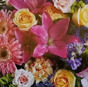 Meet your Posher, Lyndora