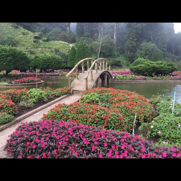 Meet your Posher, Leez