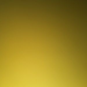 Meet your Posher, Eden