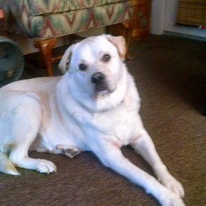 Meet your Posher, Debra