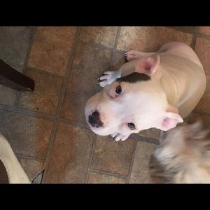 Meet your Posher, Timothy