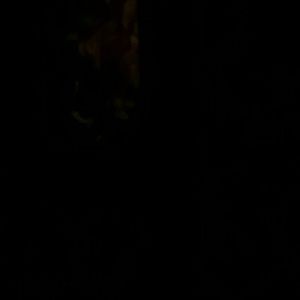 Meet your Posher, Joan