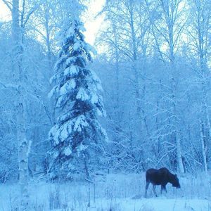 Meet your Posher, Annie