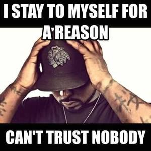 Meet your Posher, Wilson