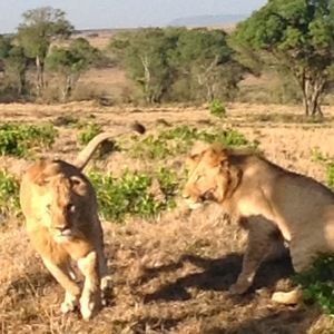 Meet your Posher, Irina