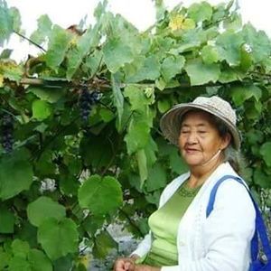 Meet your Posher, Dioni