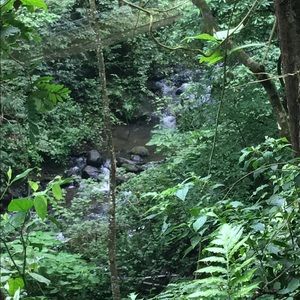 Meet your Posher, Monique