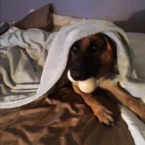 Meet your Posher, Gina