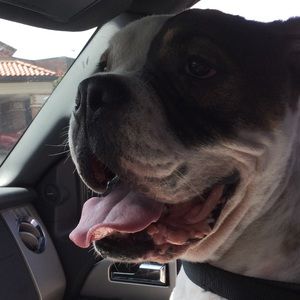 Meet your Posher, Kandi