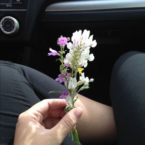 Meet your Posher, Grace