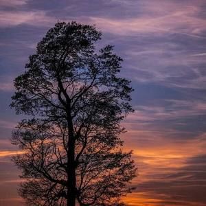 Meet your Posher, Clara etta