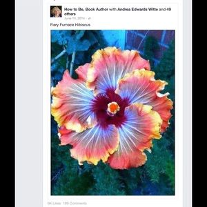 Meet your Posher, Hope karan