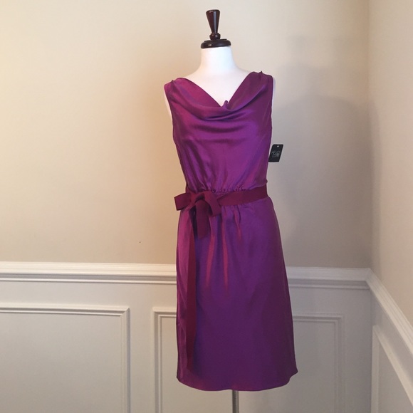 NWT Gorgeous Silk Dress
