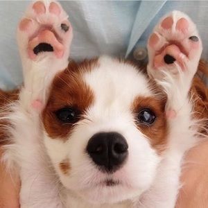 Meet your Posher, Ali