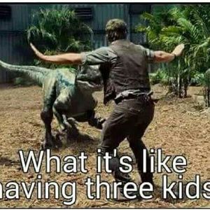 Meet your Posher, Stevie