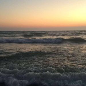 Meet your Posher, Madelynn