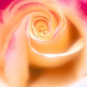 Meet your Posher, Marcia