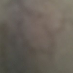 Meet your Posher, Roger