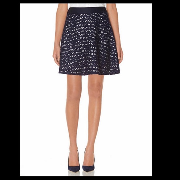 THE LIMITED Stripe & Lace Skater Skirt in Navy