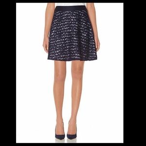 THE LIMITED Stripe & Lace Skater Skirt in Navy