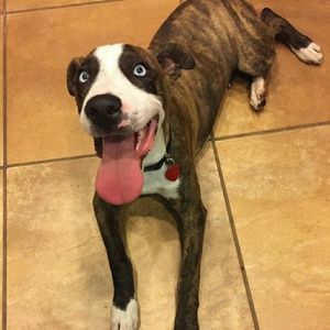 Meet your Posher, Alicia