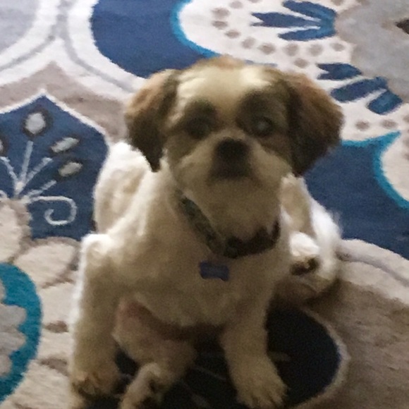 Jen - Picture 3 of 3