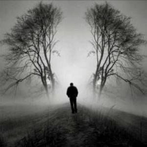 Meet your Posher, Carlos