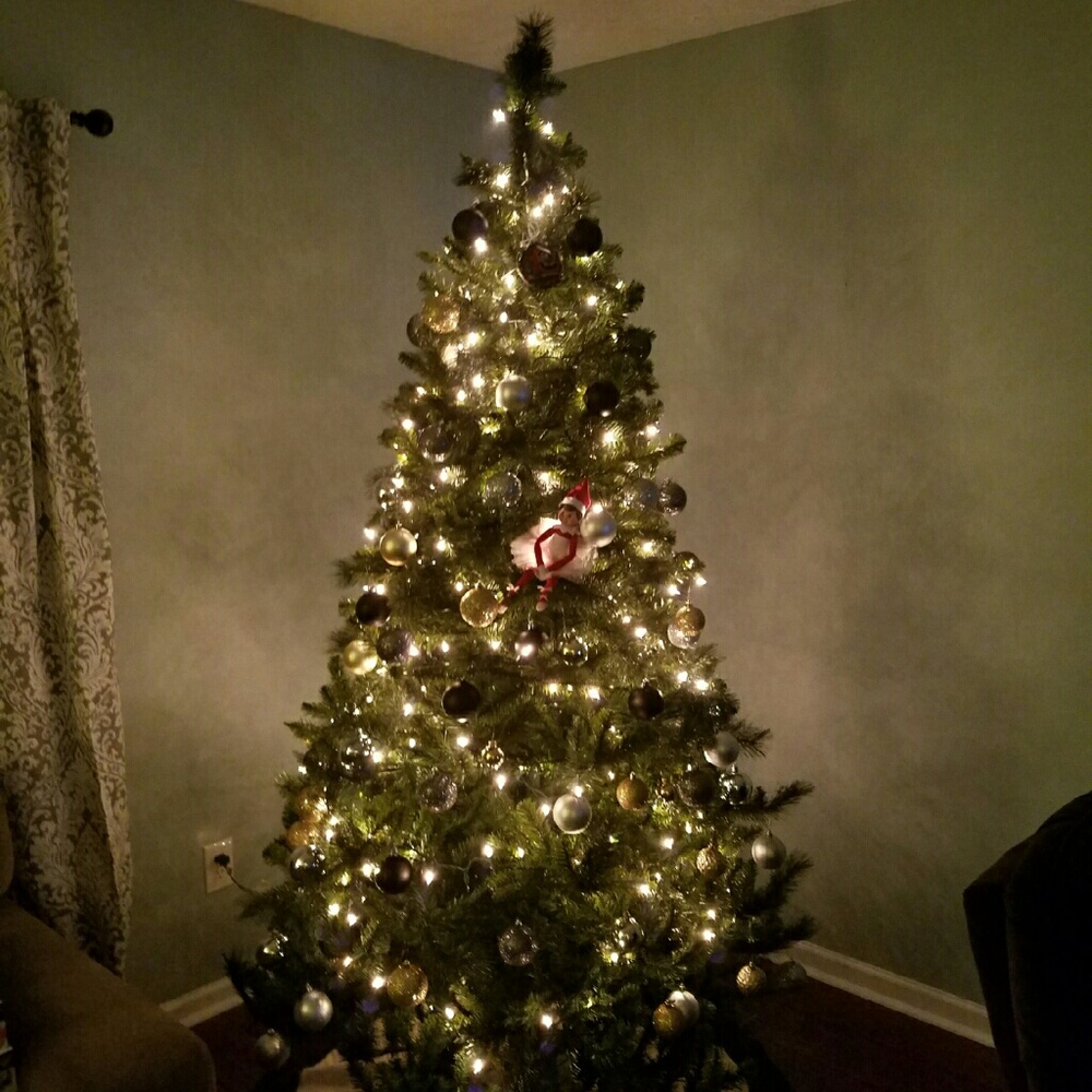 Meet your Posher, Mallory