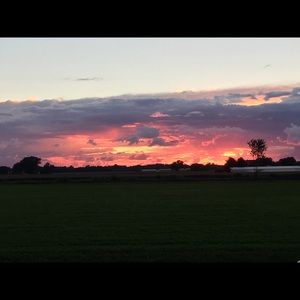 Meet your Posher, Jodi