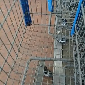 Meet your Posher, Normalee