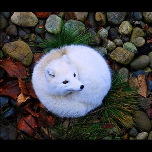 Meet your Posher, Krissy