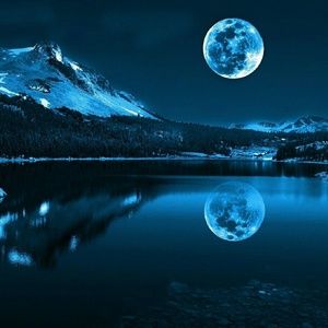 Meet your Posher, Rachelle