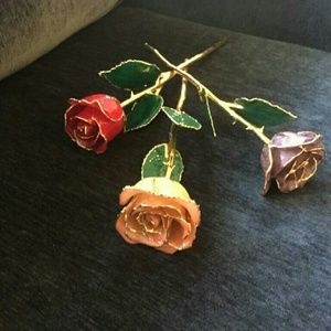 Laquer /gold forever roses