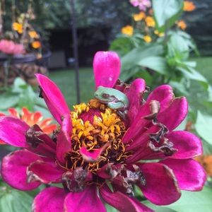 Meet your Posher, Jennifer