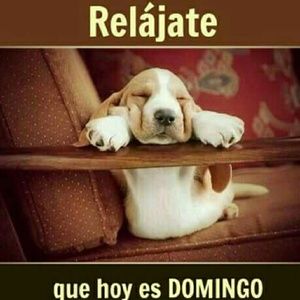 Meet your Posher, Roselyn